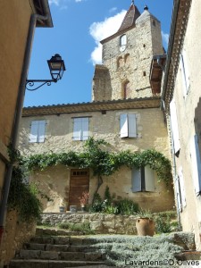 Lavardens © D. Olivès