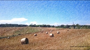 paysage cop MB-PassenGers avec filigrane